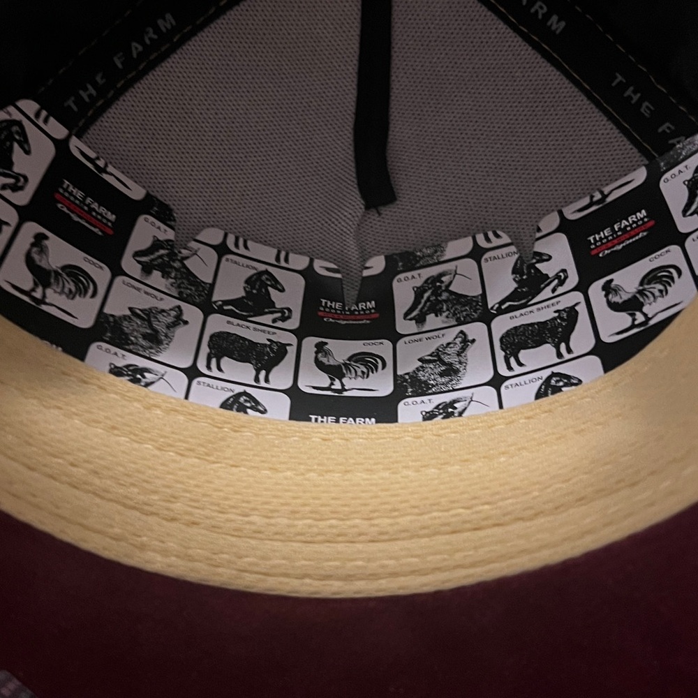 LION - GOORIN BROS. limited “ROYALTY” edition. Yellow Cap / mustard cap - NEW - Picture 9 of 10